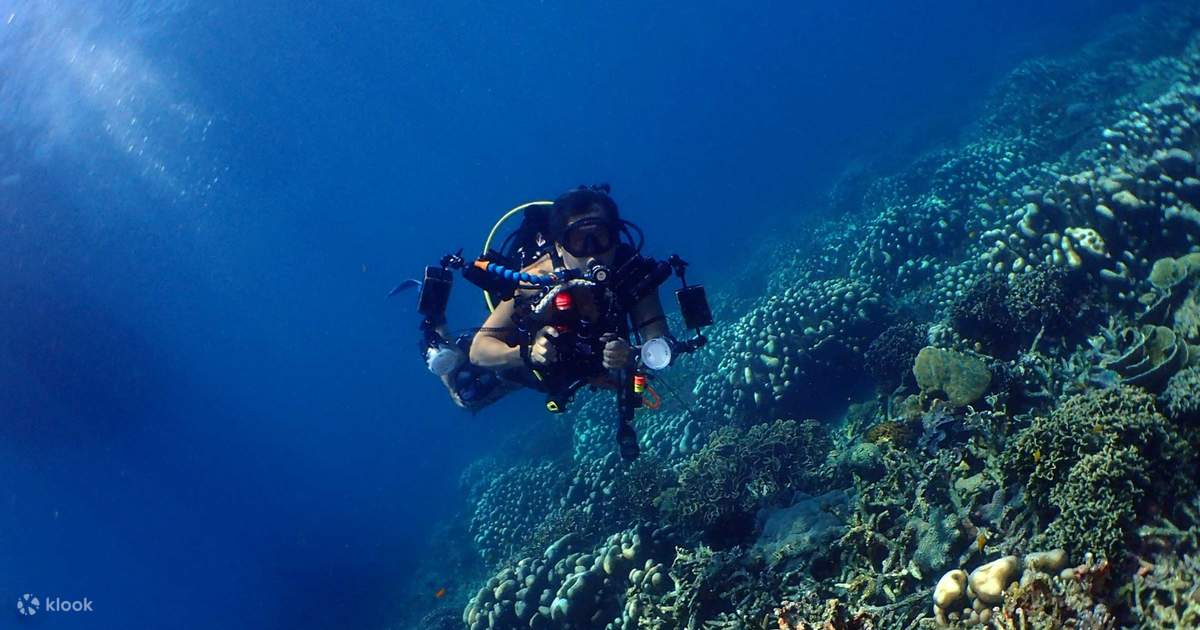 Tioman Island Leisure Diving Packages with Stay at Tioman Dive Resort